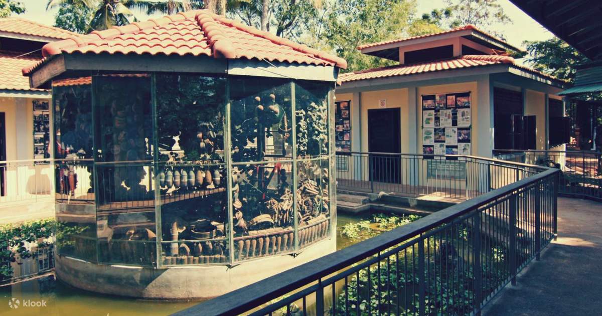 Visit the Landmine Museum