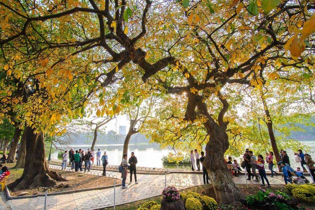 Hanoi's Beautiful Seasons
