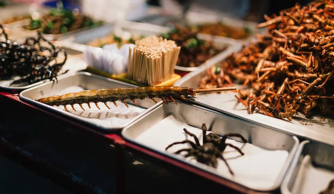 Insect dishes