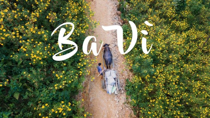 About Ba Vi District in Ha Noi 2024