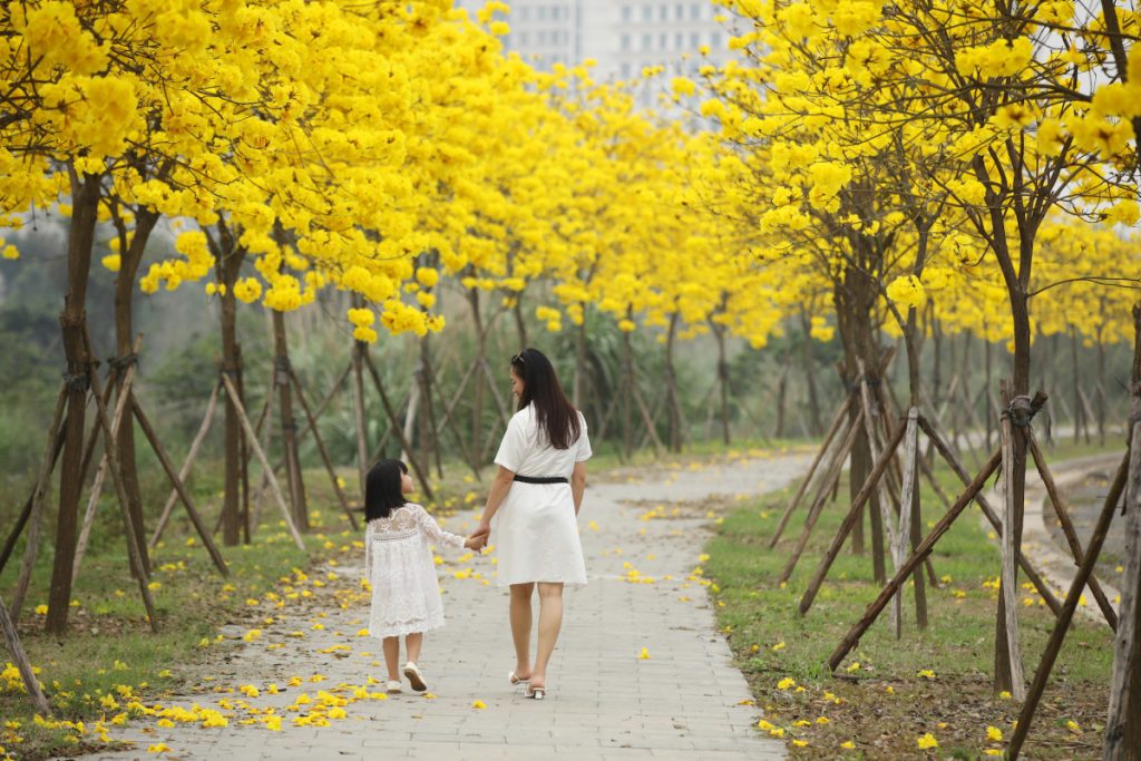 About Ha Dong District in Ha Noi 2024