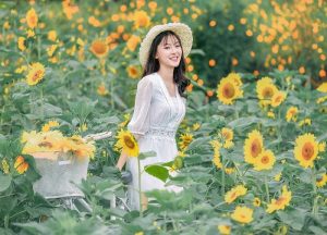 Dan Phuong District | About Dan Phuong: Map, postal codes, Tourist