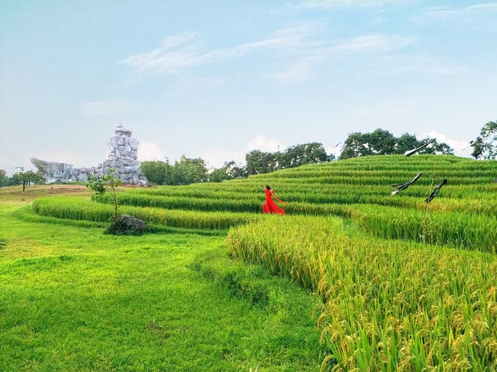 Admiring the Terraced Fields
