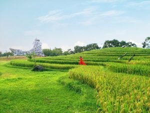 Dan Phuong District | About Dan Phuong: Map, postal codes, Tourist