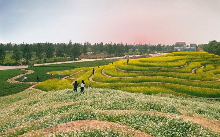 Dan Phuong District | About Dan Phuong: Map, postal codes, Tourist, History 2024