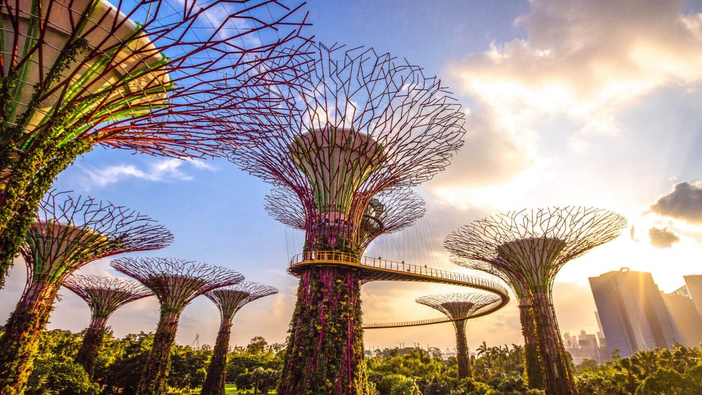 gardens by the bay singapore
