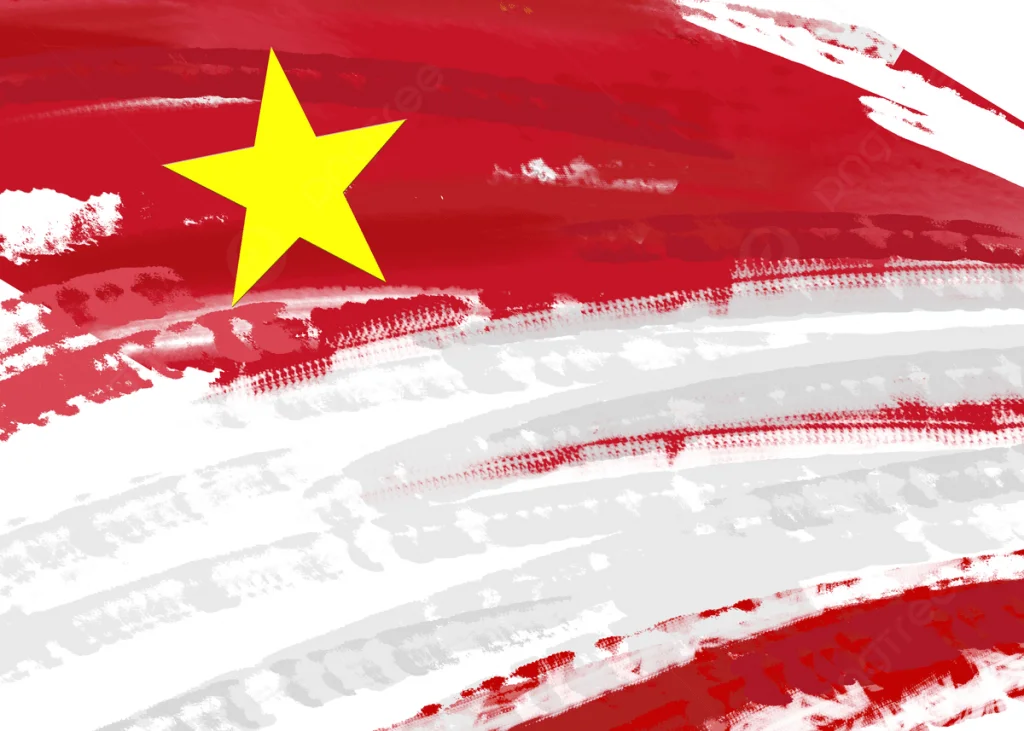 History of Vietnam Flag