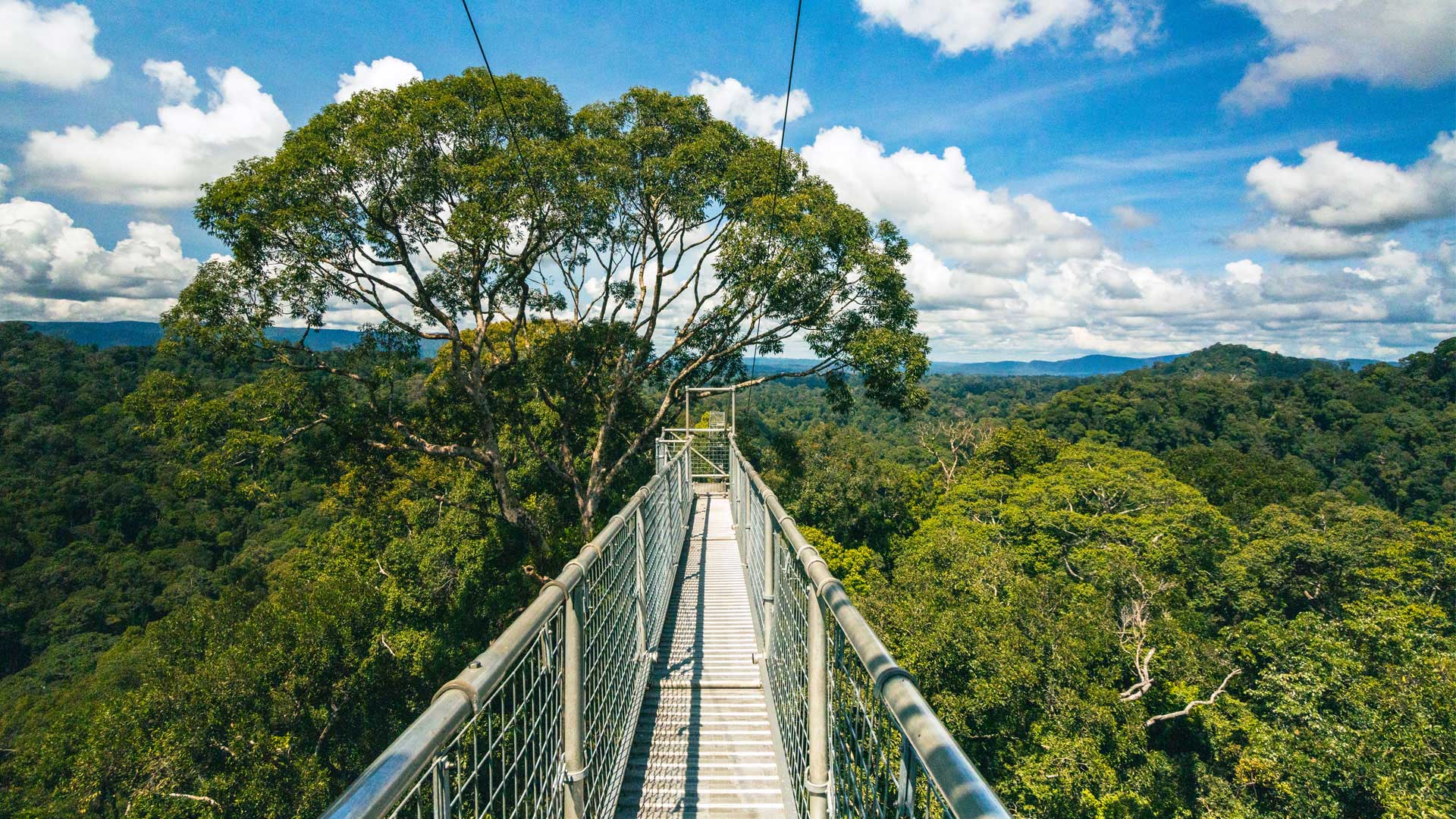 Ulu Temburong National Park